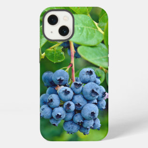 Ripe Blueberries On Bush iPhone 13 Case