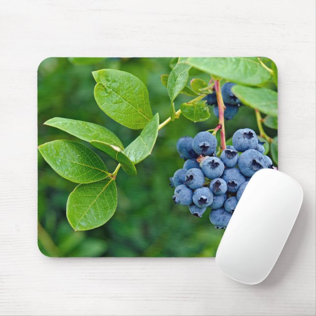 Ripe Blueberries On Bush Mouse Mat (With Mouse)
