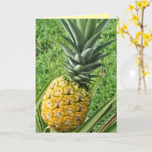 Ripe, Fresh, Delicious - Pineapple Of My Dreams Card