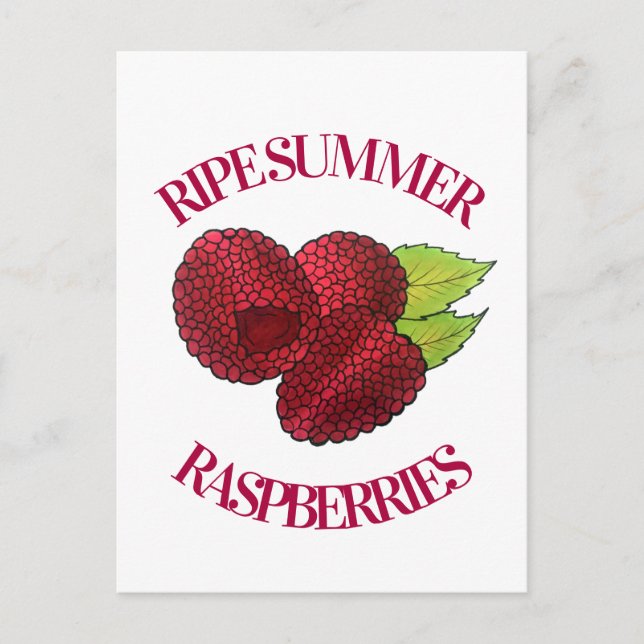 Ripe Fresh Summer Red Raspberries Fruit Berry Postcard (Front)
