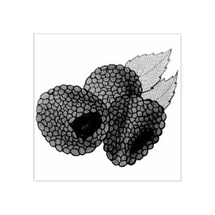 Ripe Fresh Summer Red Raspberries Fruit Berry Rubber Stamp