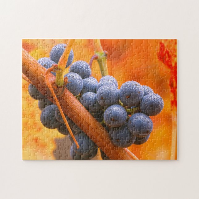 Ripe Grape In Vineyard Jigsaw Puzzle (Horizontal)