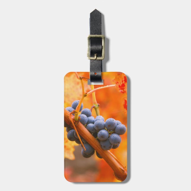 Ripe Grape In Vineyard Luggage Tag (Front Vertical)