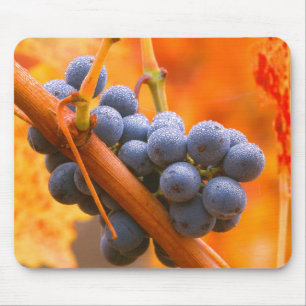 Ripe Grape In Vineyard Mouse Mat