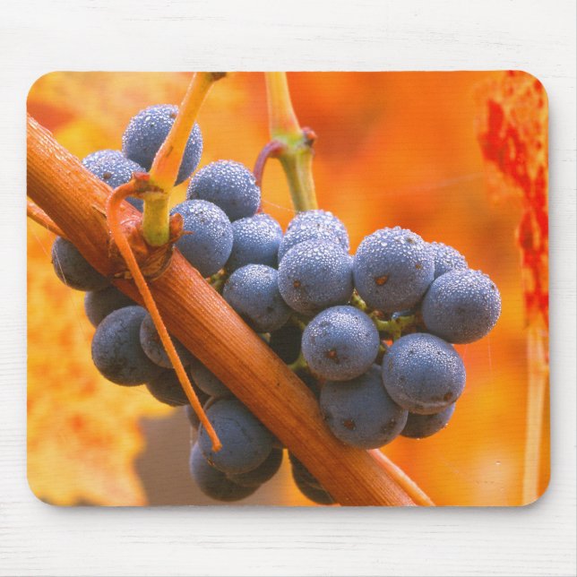Ripe Grape In Vineyard Mouse Mat (Front)