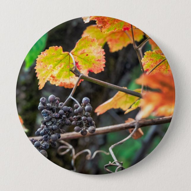 Ripe Isabella grape 10 Cm Round Badge (Front)