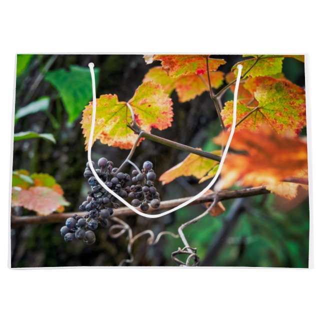 Ripe Isabella grape Large Gift Bag (Front)