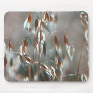 Ripe Oats (Avena Sativa) Close Up. Ceres, Boland Mouse Mat