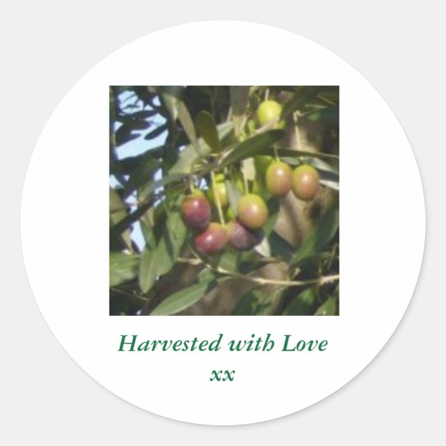 Ripe Olives Classic Round Sticker (Front)