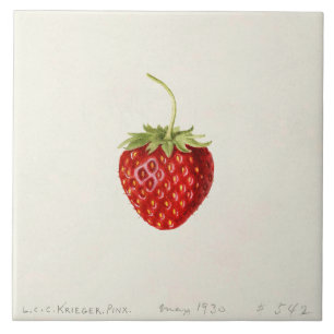 Ripe Red Strawberry (by Louis C.C. Krieger) Tile