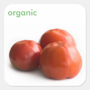 Ripe tomato square sticker
