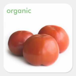 Ripe tomato square sticker
