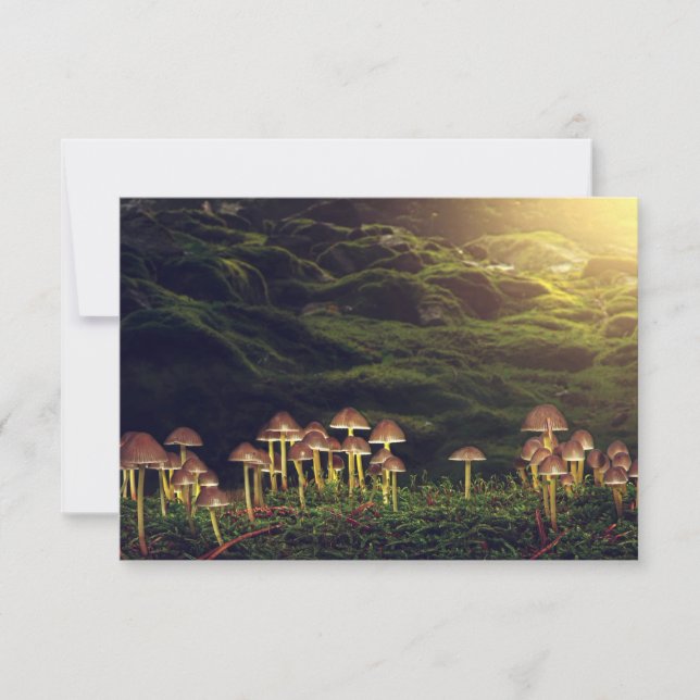 Ripe Wild Mushrooms in the Forest Thank You Card (Front)
