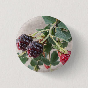 Ripening Blackberries 3 Cm Round Badge