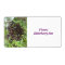 Ripening Elderberries Custom Food Labels