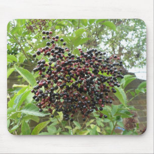 Ripening Elderberries Mousepad