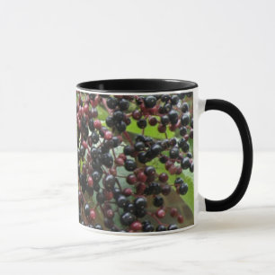 Ripening Elderberries Mug