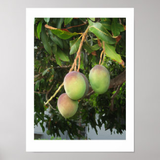 Ripening Poster