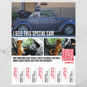 Ripp of Tears Car Selling Flyer