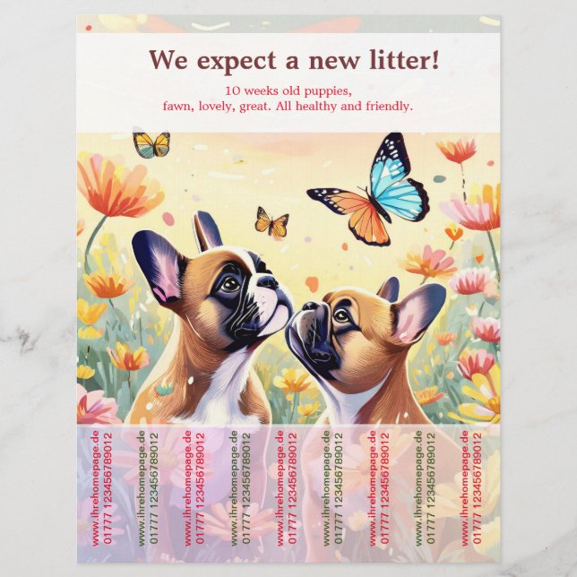 Ripp Off French Bulldog Puppies Flyer (Front)