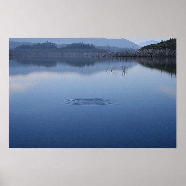 Ripple in Still Water - Poster (Front)