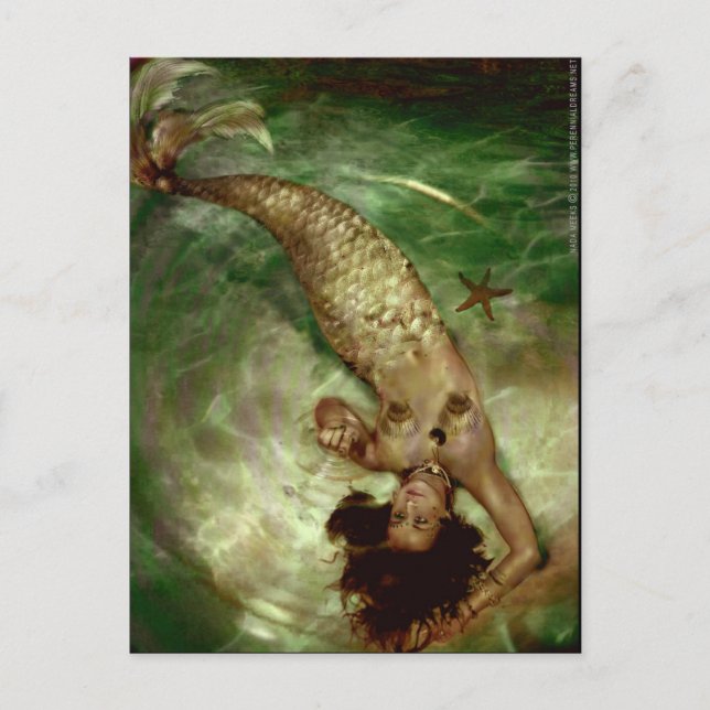 Ripple Magic Postcard (Front)