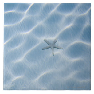 Rippled blue water with starfish tile