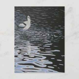 Ripples and a Avocet in contrast Postcard