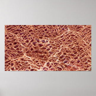 Ripples on Sand Bar with Dried Mud III - Color Sat Poster