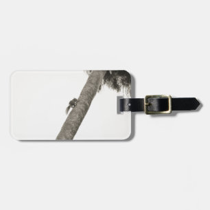 Rise Above Squirrel Climbing Palm Tree B&W Luggage Tag