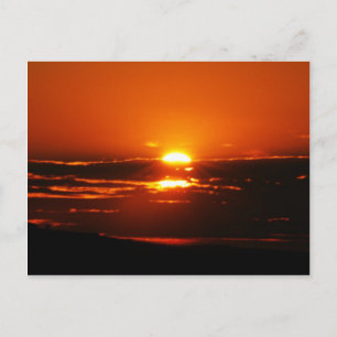 Rise And Shine Postcard