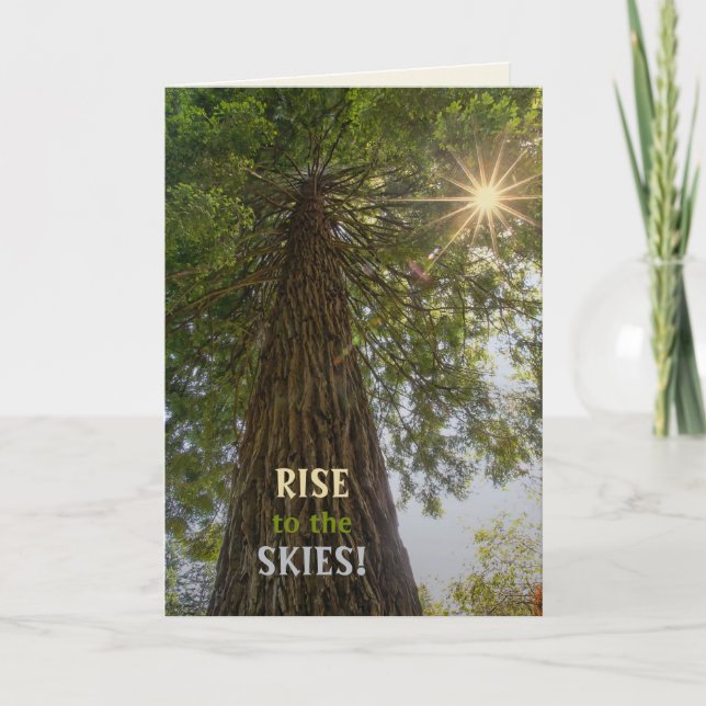 RISE Inspirational Photo of a Tree to the Sky  Card (Front)