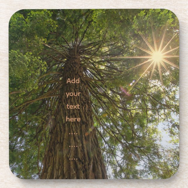 RISE Inspirational Photo of a Tree to the Sky Coaster (Front)
