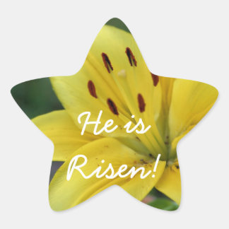 Risen Lily Star Sticker