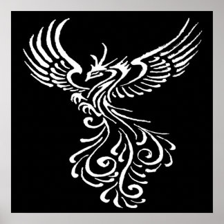 Rising From The Ashes Phoenix White Illustration Poster