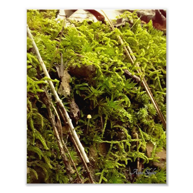 Rising Hope Photo Print (Front)