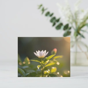 Rising sun, Hello Spring, Postcrossing Postcard
