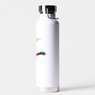 Risk manager in action water bottle