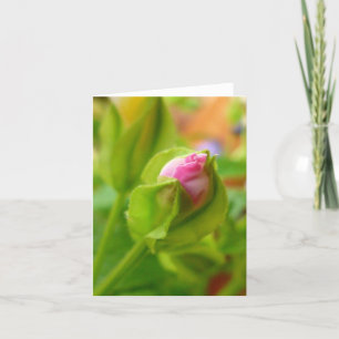 Risk to Blossom Card