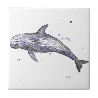 Risso Dolphin Illustration Tile