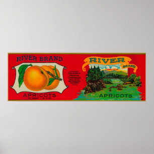 River Apricot Label Poster