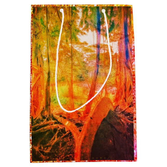 River Banyan/Wander With Stars Eve  Medium Gift Bag (Front)