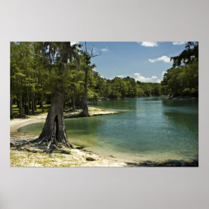 River Beach, Suwannee River, Florida Print
