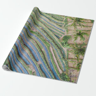 River between coconut trees painting wrapping paper