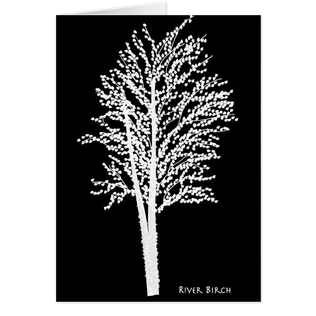 River Birch Tree in Abstract (Front)