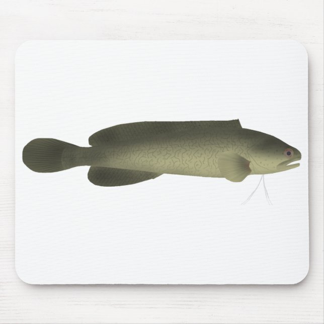 River Blackfish Print, Value Poster Paper (Matte) Mouse Mat (Front)
