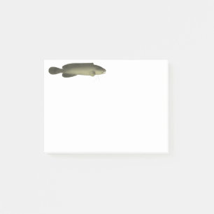 River Blackfish Print, Value Poster Paper (Matte) Post-it Notes