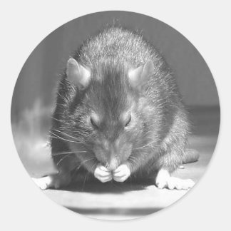 river classic round sticker