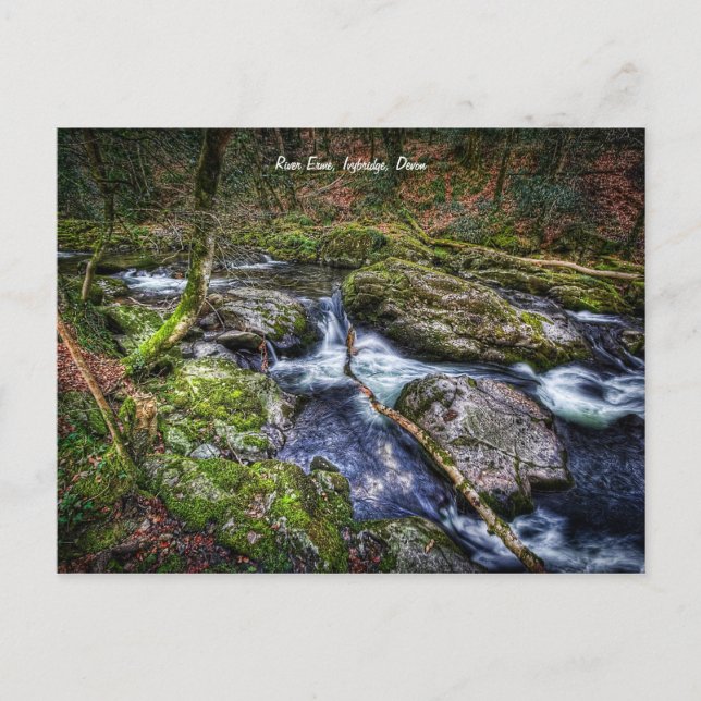 River Erme, Ivybridge, Devon Postcard (Front)