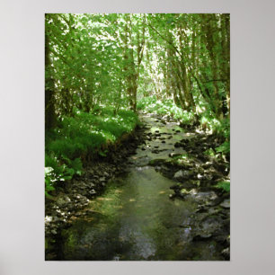 River flowing through woodland. poster